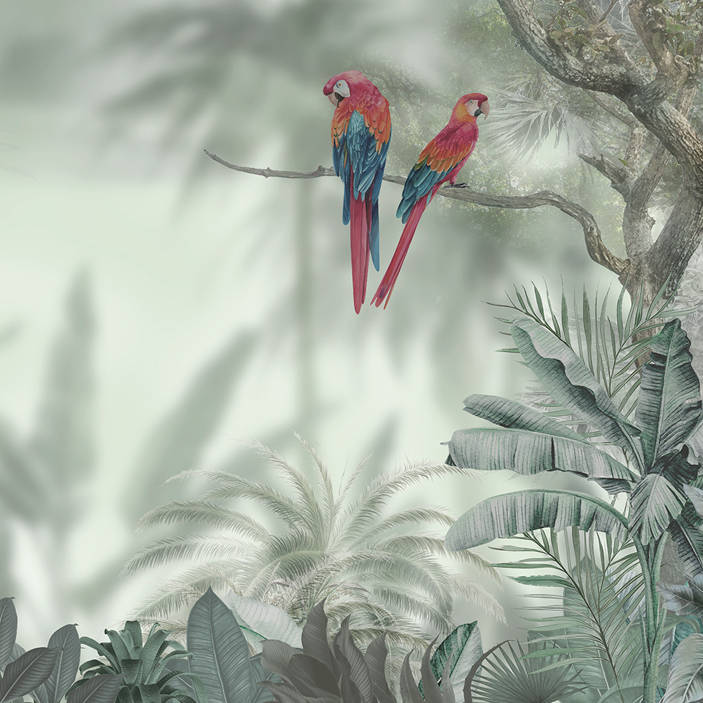 Floresta Tropical (STILL)