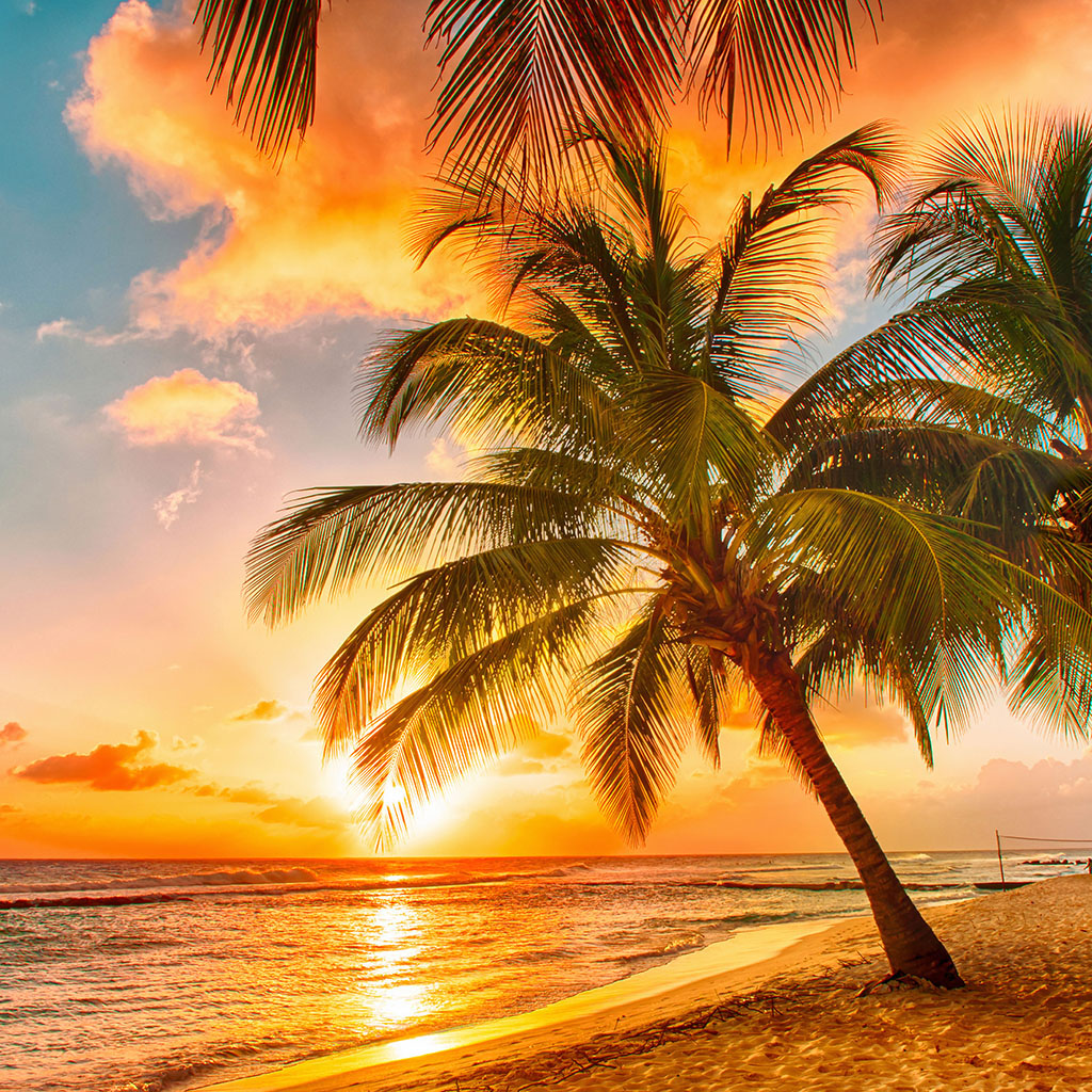 Por do Sol na Praia (STILL)