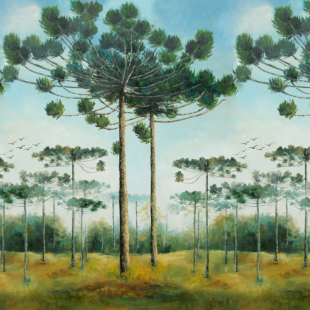 Serra de Araucárias (STILL)