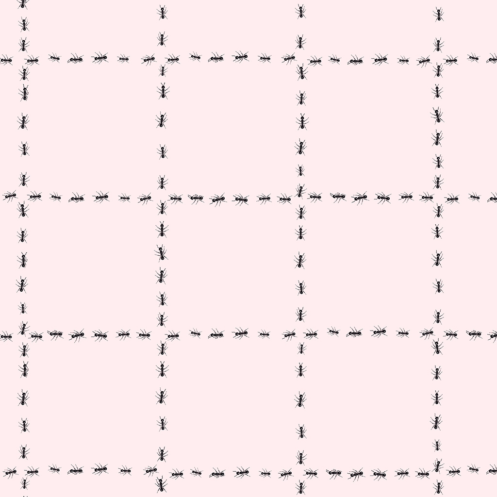 Quadriculado Formigas Rosa (STILL)