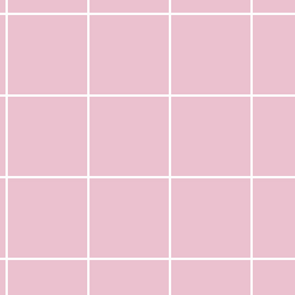 Quadriculado Riscado Rose (STILL)